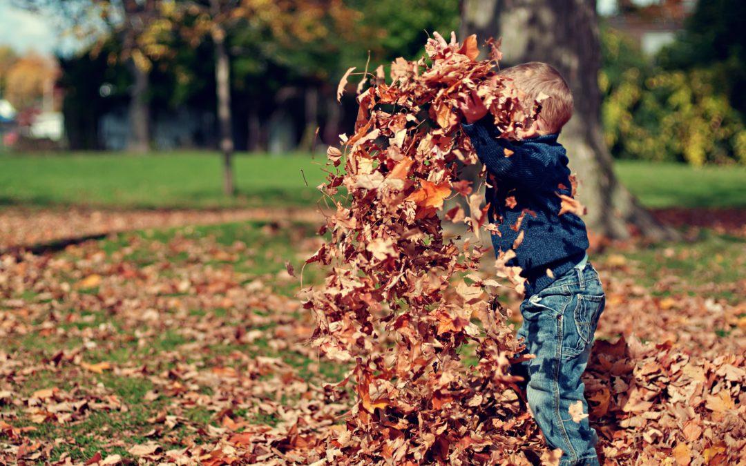 How to have fun with Autumn Leaves