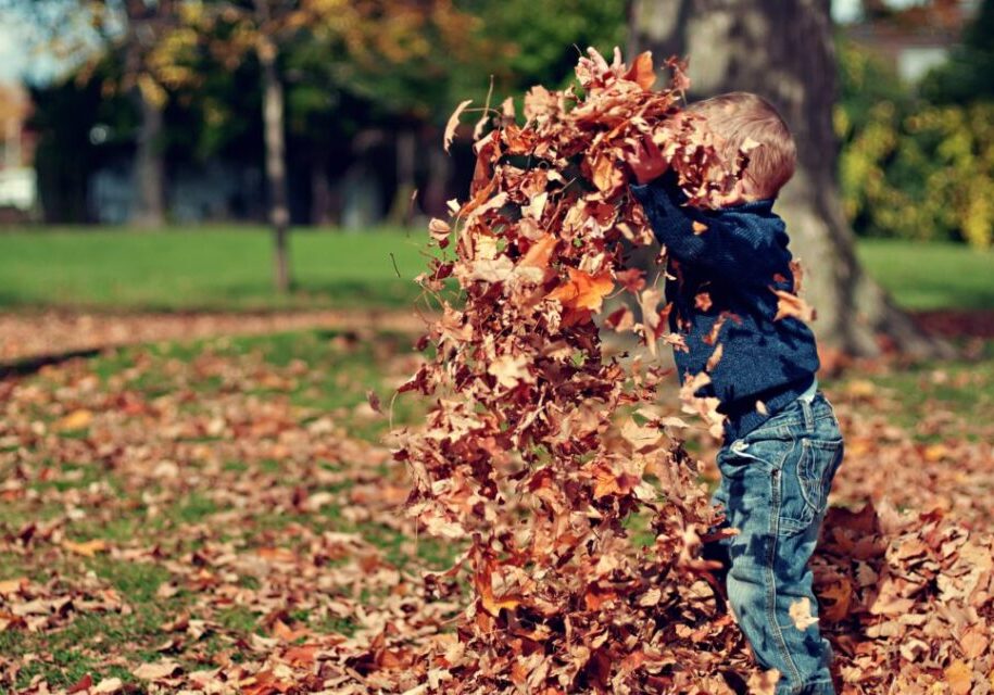 photo-1453342664588-b702c83fc822-1-1080x675